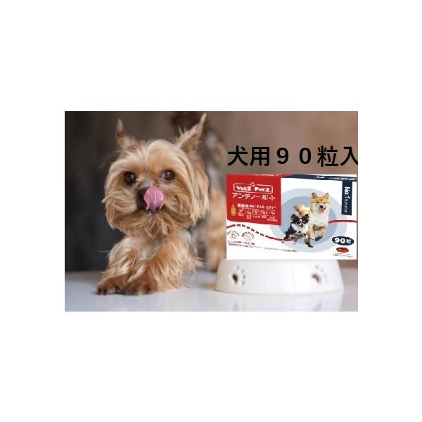 特別価格数量限定】アンチノールプラス アンチノールPlus 犬用サプリ