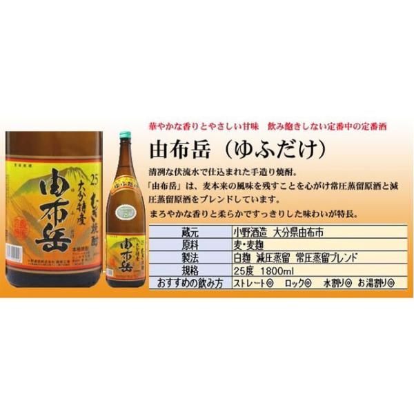 kinko_022475_1_d_20230504143348