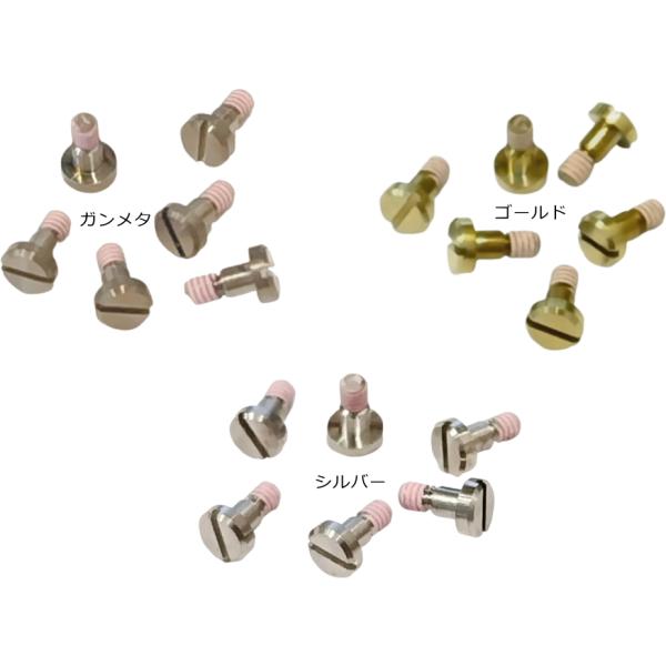 GST-B100用ネジ (6本セット)