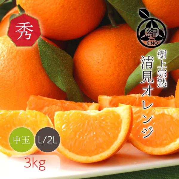 木熟 清見 オレンジ【 秀品 L/2L サイズ 3kg 】送料無料 葉付でお届け