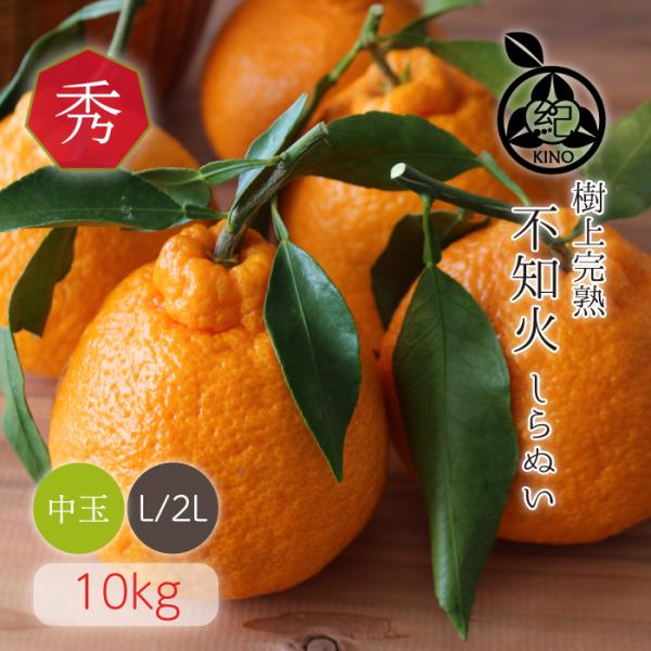 不知火ーしらぬいー 【秀品L/2Lサイズ（中玉） 10kg】 送料無料