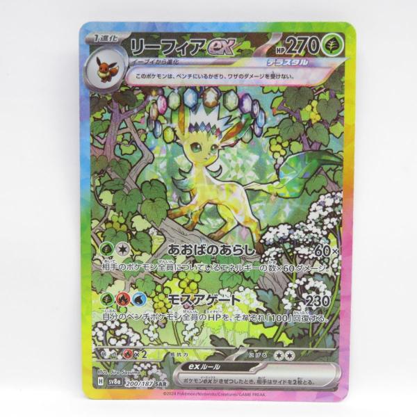 kinoko-dou_088s-241218-ym004