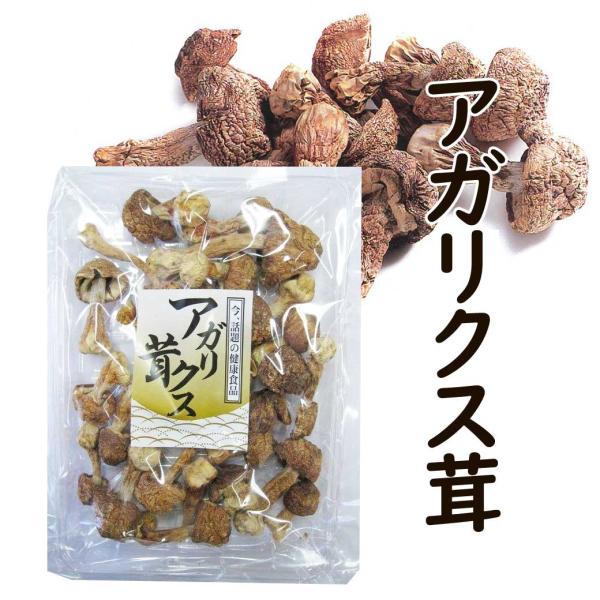 乾燥 アガリクス茸 100g : きのこの杜Yahoo!ショップ - 通販