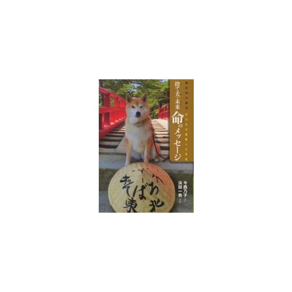 ノンフィクション・生きるチカラ  捨て犬・未来命のメッセージ―東日本大震災・犬たちが避難した学校