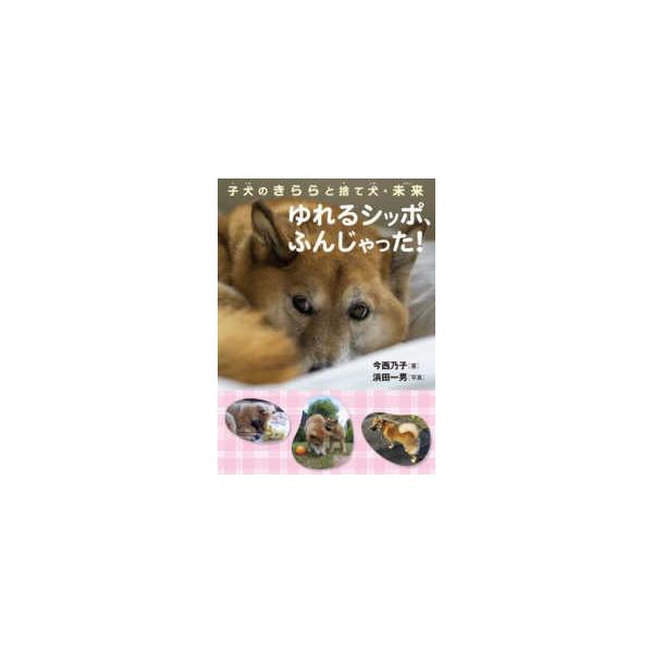 子犬のきららと捨て犬・未来　ゆれるシッポ、ふんじゃった！