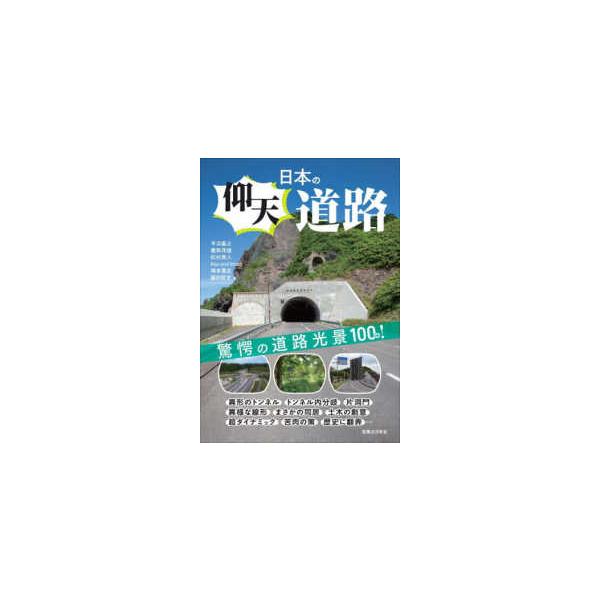 日本の仰天道路