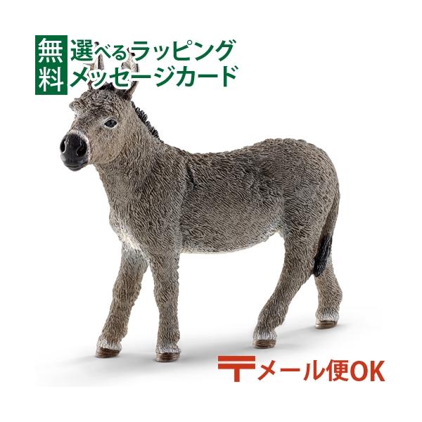 kinoomocha_sc13772