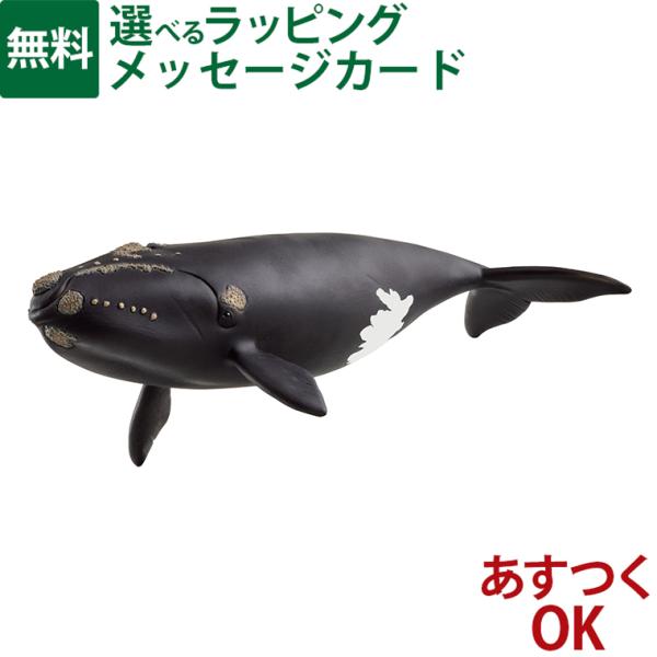 kinoomocha_sc14878