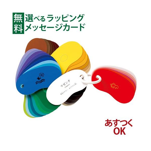 戸田デザイン研究室 リングカード・しきさい とだこうしろう リングカードシリーズ 文字 英語 色彩感覚 学習 知育玩具 おうち時間 子供 夏休み