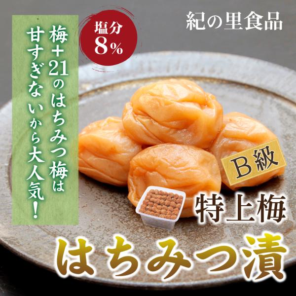 ~ ƒp݂͂ 1.5kg I̗Hi ~ 썂~  I Yn a̎R IBY