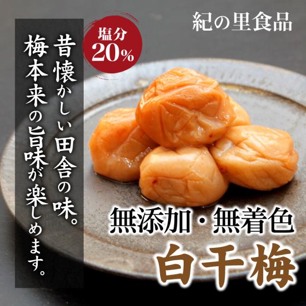 ~ ~ I̗Hi 1kg ~ 썂~ Y F  Mtg  Yn a̎R IBY