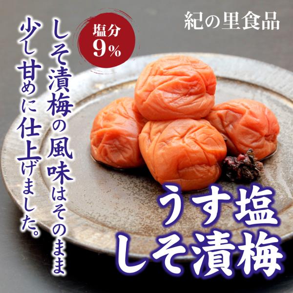 ~ Д~ 1kg I̗Hi ~ 썂~  xc̓VR Mtg  Yn a̎R IBY