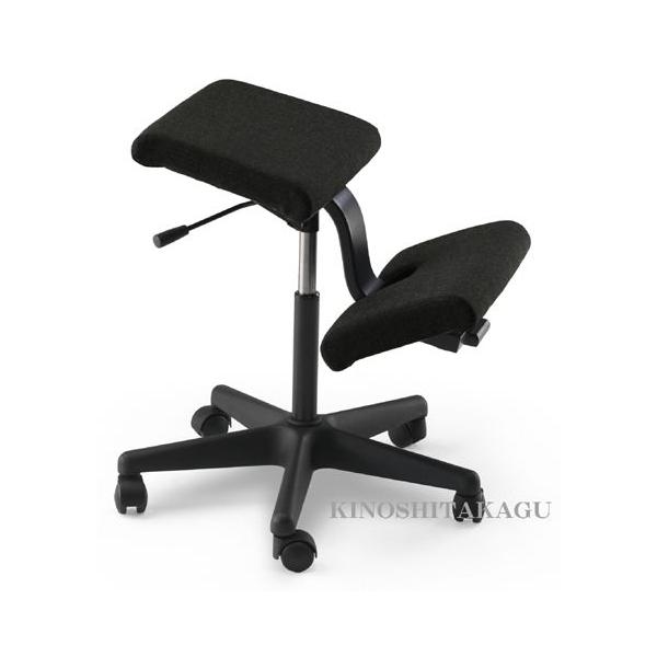 oX`FA EBO LX^[t ֎q VARIER @G[ k