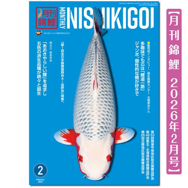 「読みもの」056　販売店インタビュー／群馬県・桐生錦鯉センター　      多趣味でも芯は「鯉道一筋」　ジャンボ、個性的な鯉が好きで078　(有)AO.あおきや（新潟）　    「あおきやらしい鯉」を追求し五色の派生品種が続々と誕生091...