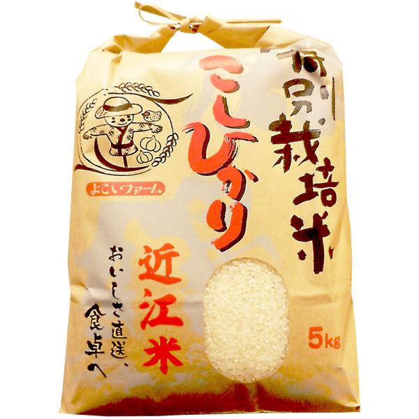 コシヒカリ 近江米こしひかり5kg : 近清-国産・無添加の京漬物 コシヒカリ 近江米こしひかり5kg : 近清-国産・無添加の京漬物