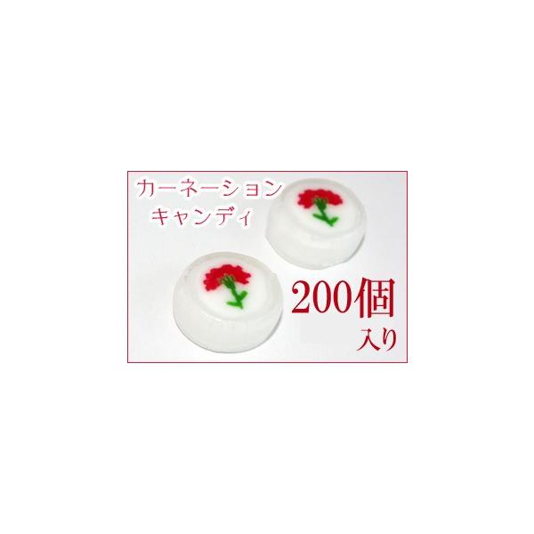 J[l[VLfB200@̓Mtg XC[c v[g ʔ َq