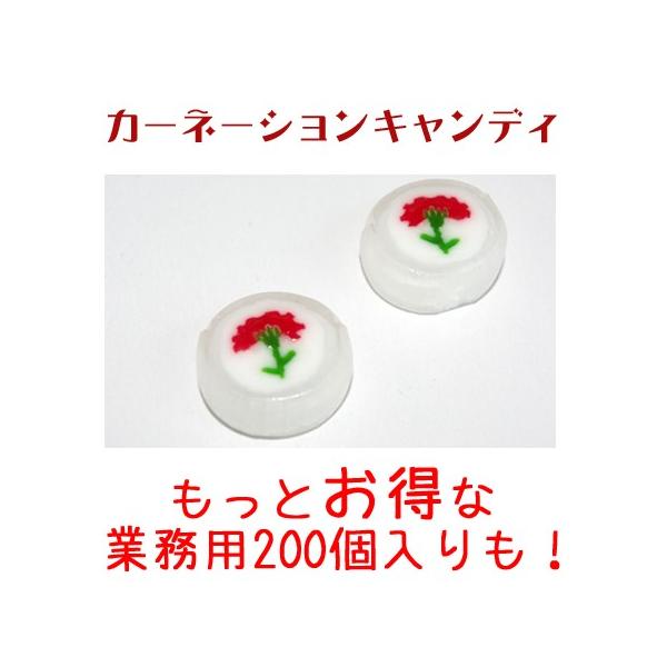 ̓J[l[VLfB50@Mtg XC[c v[g  َq