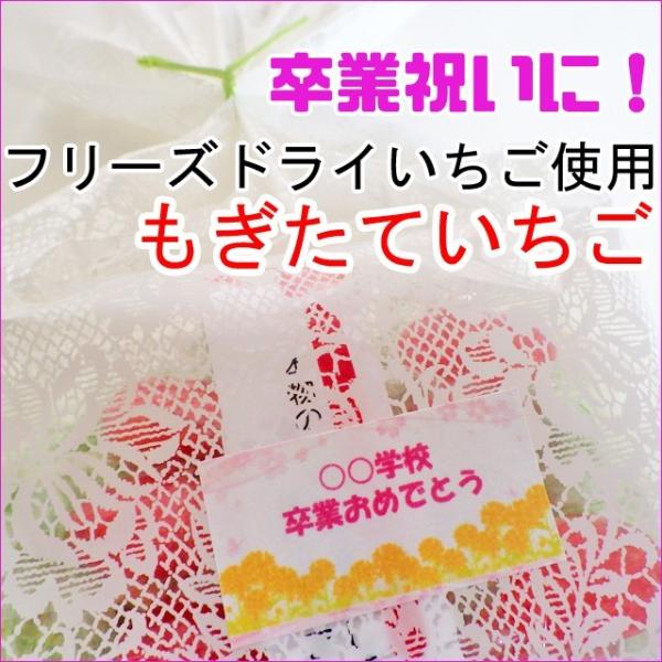 卒業贈り物 卒業祝いもぎたていちご 卒業お菓子プレゼント Sotsugyouokashi1 飴菓子専門店 金扇 通販 Yahoo ショッピング