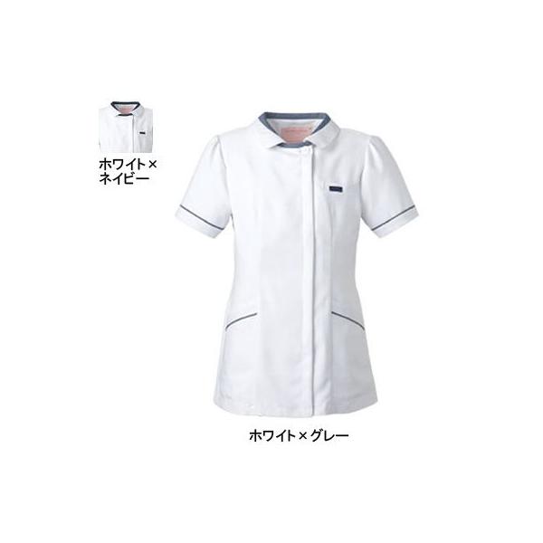 \NG 2015EW `jbN S-4L Ô߁E앞