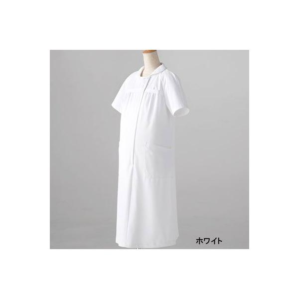 \NG 8000FK }^jeBs[X M-L Ô߁E앞