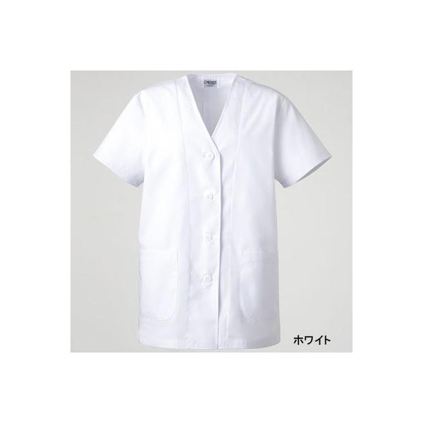 \NG C251 q܂Ȃ  S-4L Ô߁E앞