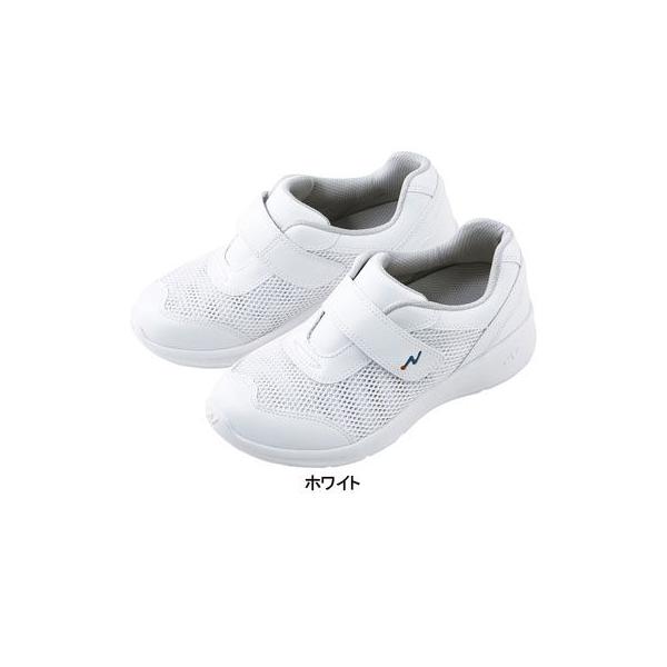 zCZ XNu    d F4800 i[XN[II 22-29 Ô߁E앞 WHISeL ƒ