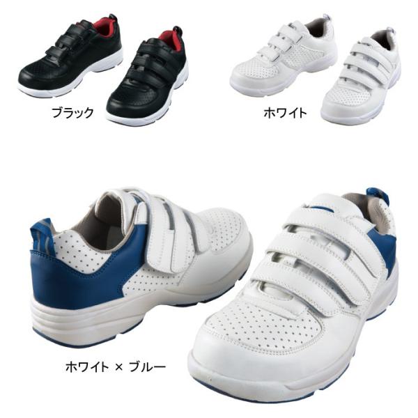 d ƕ S8052R Z[teBXj[J[ 24-29 SC ƒ