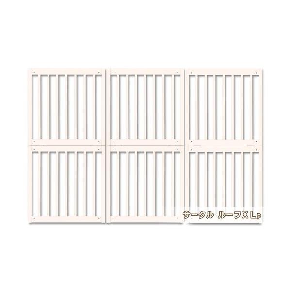 L[kX ybgT[NvXp  [T[N [t XLp ] kiinus { ybgƋ