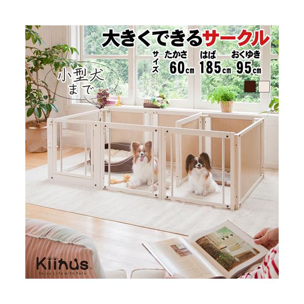 kintaro-w_circleplus-f60l-a