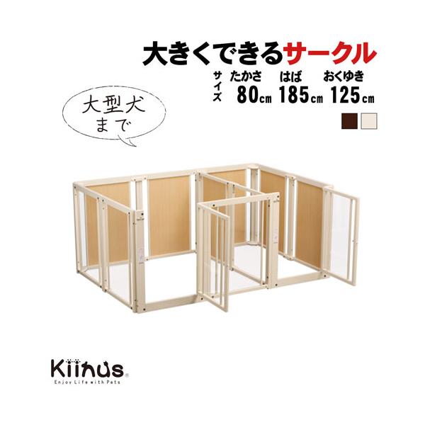 kintaro-w_cp-2d80xlpa