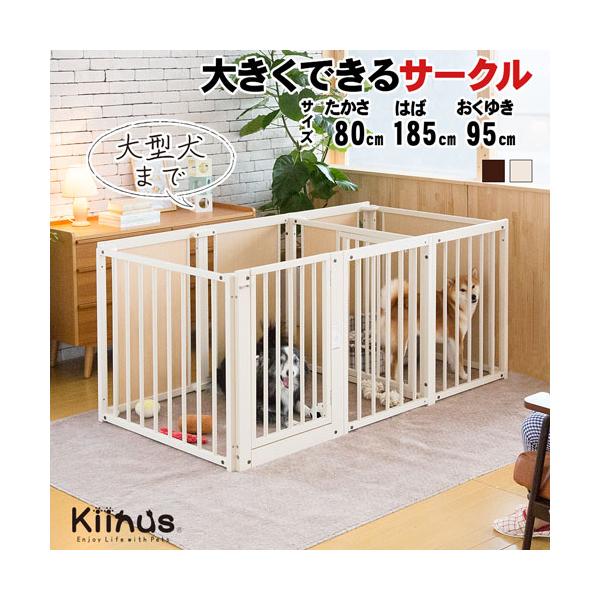 Kiinus kiinus キーヌス 日本製 [ サークルルーム F 80Lp