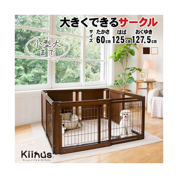 kintaro-w_pc-fs-60xl-m