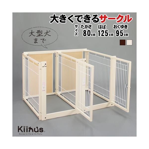 Kiinus kiinus キーヌス 日本製 [ 多頭飼いサークル F 80-69