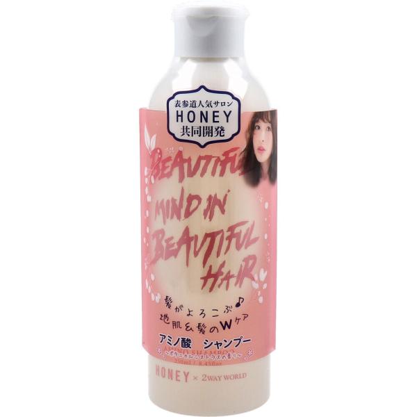 kintarou_4540811800742