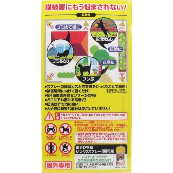 kintarou_4902424437041_2