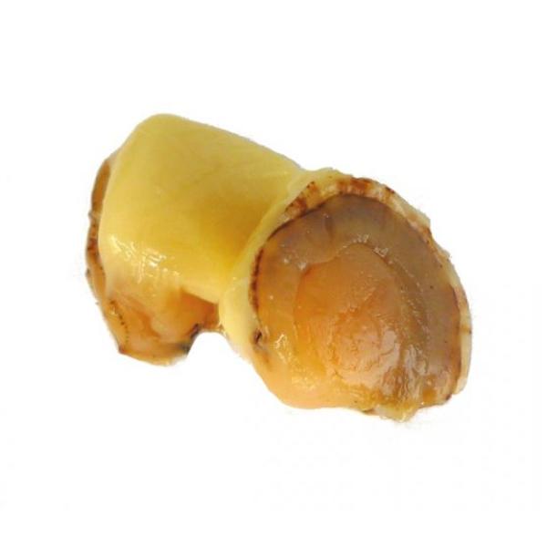 kintarou_4903059204923_2_d_20230502115941