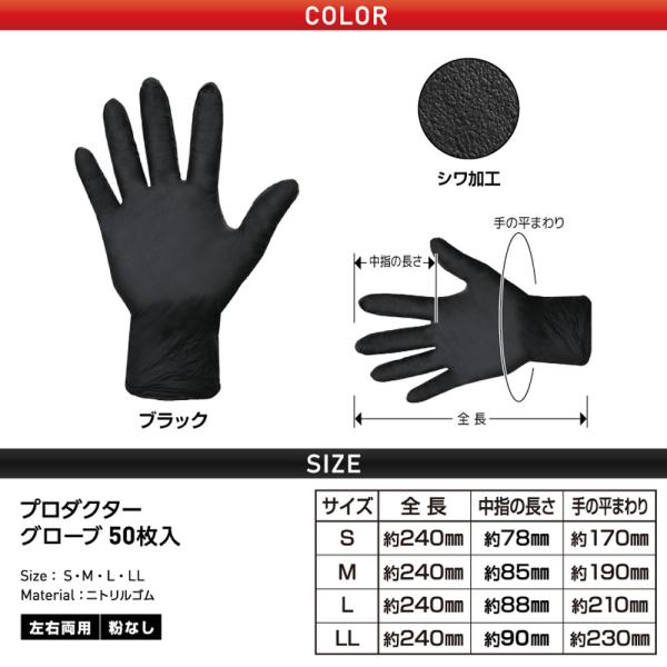 kintarou_4956668101671_3_d_20231213112832