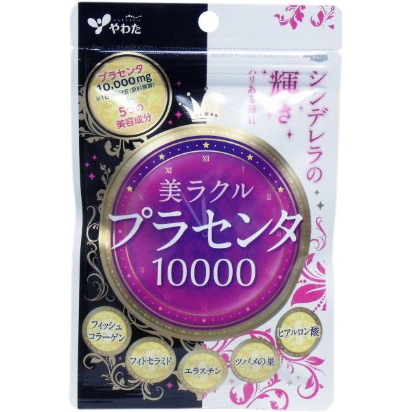 珍品　アルゼンチンの美麗セミ① 珍品 アルゼンチンの美麗セミ①