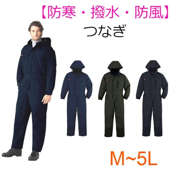 Ȃ h  h Ȃ d  ciM 48500 Y ƒ Lv AEghA ₷