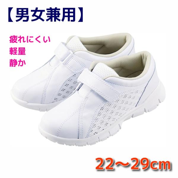 i[XV[Y V[Y y ɂ ɂ É fB[X Y xmSi[X Cg[u F308 