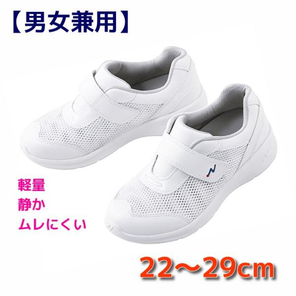 i[XV[Y V[Y y ɂ ɂ fB[X Y  xmSi[X i[XN[2 F4800