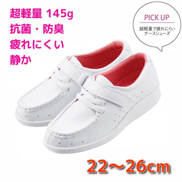 i[XV[Y V[Y y ɂ ɂ fB[X xmSi[X f{[Vi[X F512 