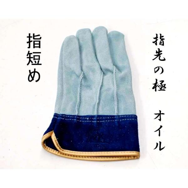 Ɗv  v yw̋Ɂzy10ogz wZ ICH wD KS454