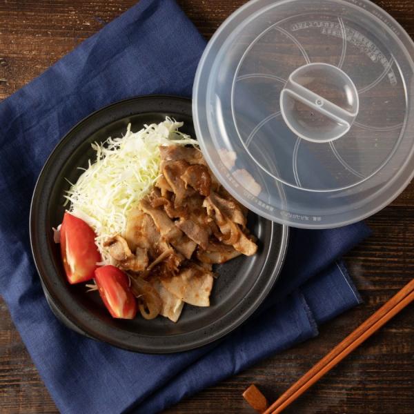 《商品詳細》身:23.5×22×H6 / フタ:φ21×H2.5箱サイズ:22.5×22×H9(cm)仕様:オーブン/不可 食器乾燥機/可 食洗器/可 電子レンジ/可素材:プレート：耐熱陶器（マイクロ波吸収発熱加工）耐熱温度差：350℃蓋：...