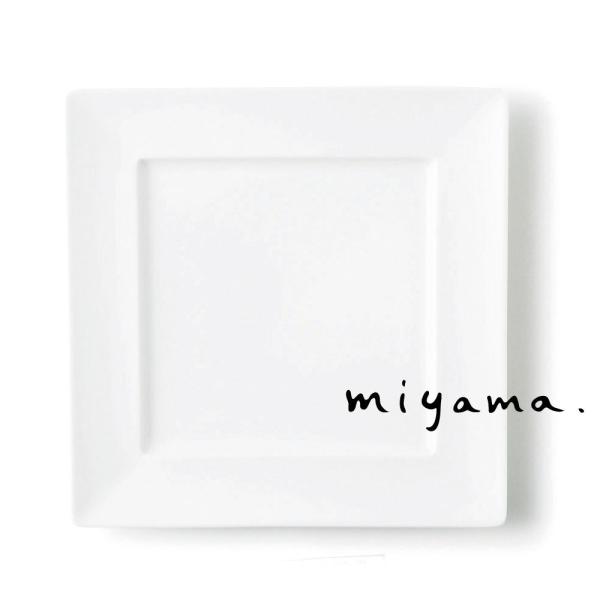 v[g M H  XNGA 21cm t lp 