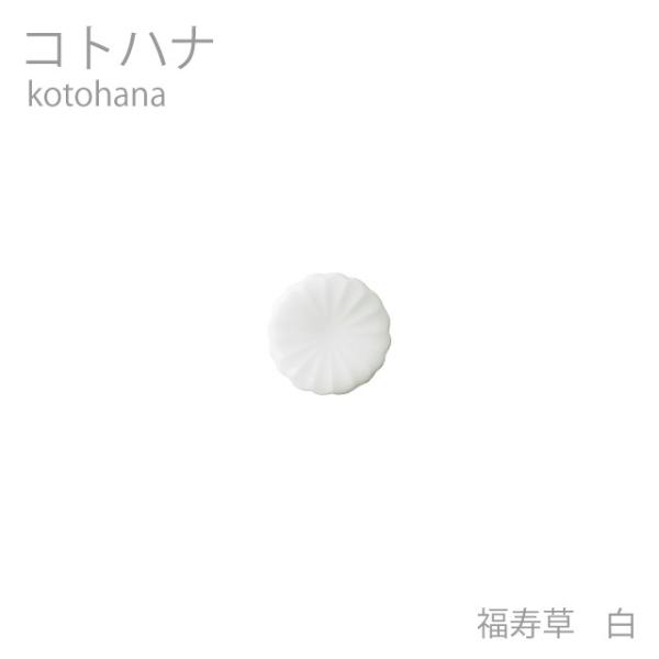 H  Jg[ Rgni u  z`Ԃ̂ 蕨 Z