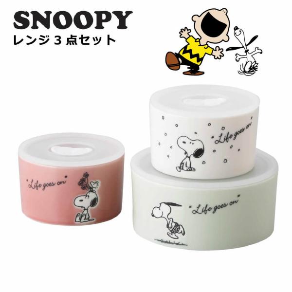 Xk[s[ HZbg j a v[g 2025  Wۑe 3_Zbg