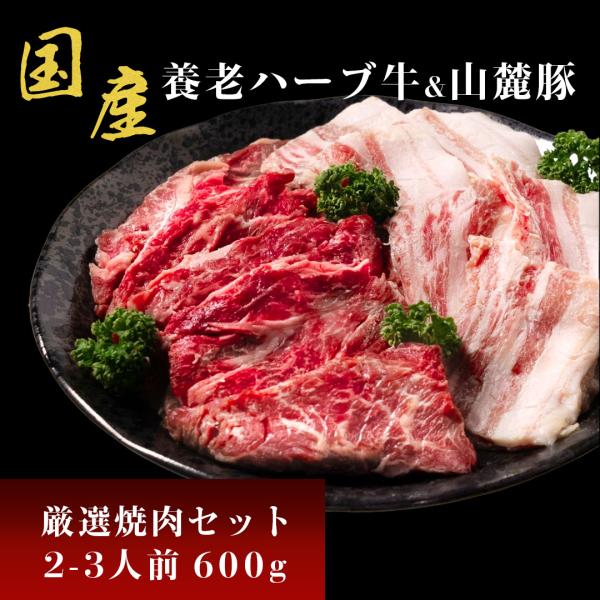牛肉 国産 600g 焼肉のたれ 2本付 焼肉 肉 バーベキュー 焼肉セット 豚肉 BBQ 孫悟空 牛 豚 美味しい 食べ比べ ギフト お歳暮 お祝い 鉄板焼金三 送料無料