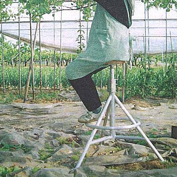 kinzohonpo_mitkaiten1 