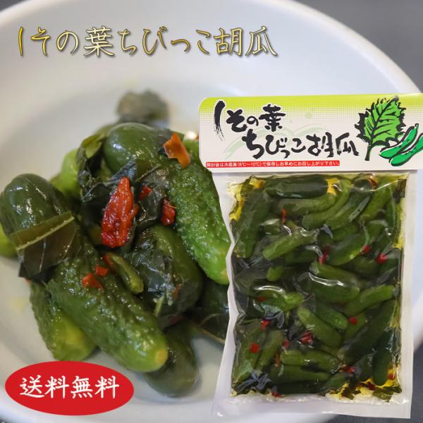 ちびっこ胡瓜をしその葉と一緒にお漬物にした一品です。ご飯のお供やおつまみとして良く合う一品です。「しその葉ちびっこ胡瓜」を是非ご賞味ください。